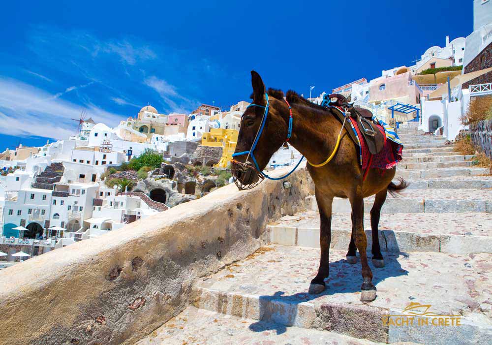 santorini day boat trips from rethymno 03