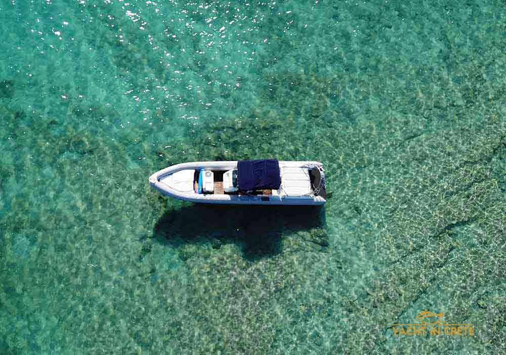 rib boat cobra 2x200hp 04